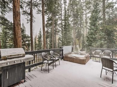 Winter Park Home 924617
