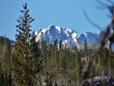 Winter Park Condo 924635