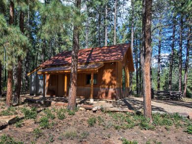 Winter Park Home 924669