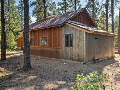 Winter Park Home 924669
