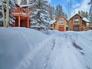 Winter Park Home 924674