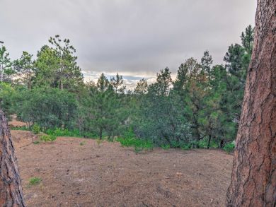 Winter Park Home 924723