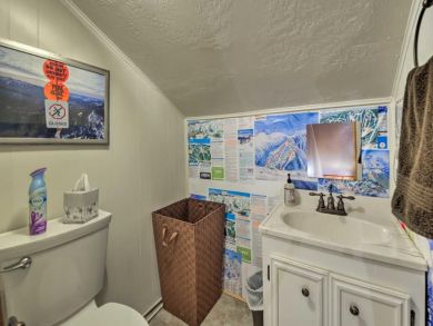 Winter Park Home 924726