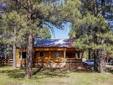 Winter Park Home 924726