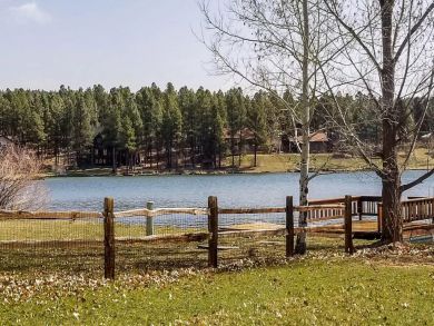 Winter Park Home 924726