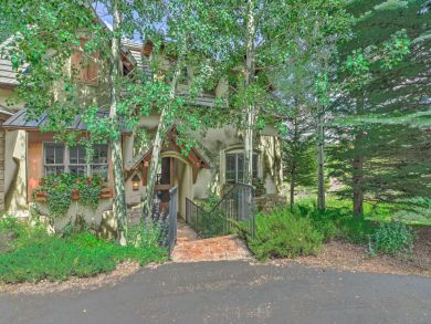 Winter Park Home 924738