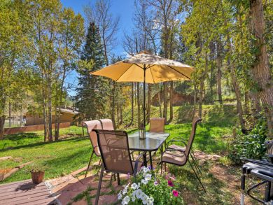 Winter Park Home 924784