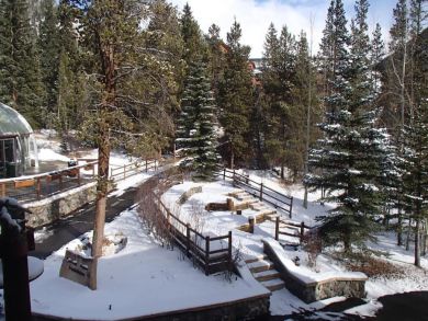 Winter Park Condo 924829 Winter Park Condo 924829