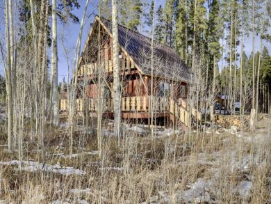 Winter Park Home 924852