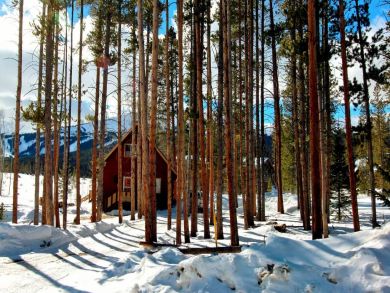 Winter Park Home 924852