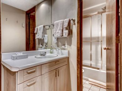 Winter Park Condo 924878