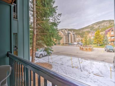 Winter Park Condo 924884
