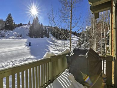 Winter Park Home 924893