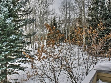 Winter Park Home 924898