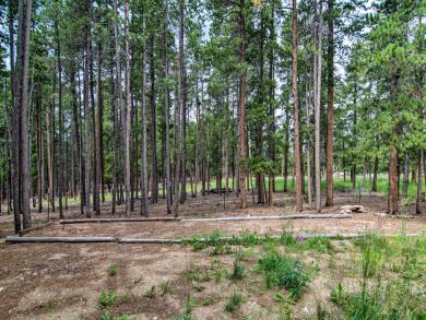 Winter Park Home 924987