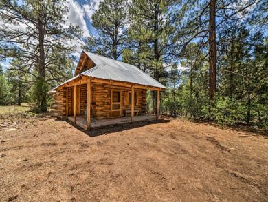 Winter Park Home 925101