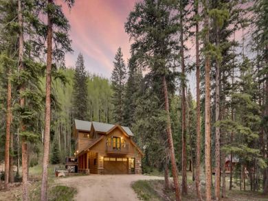 Winter Park Home 925124