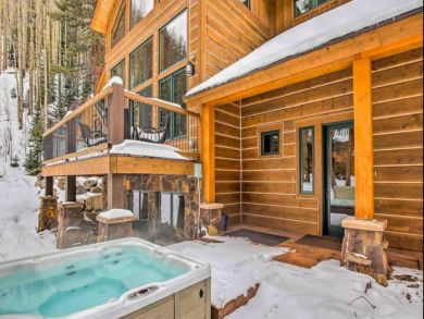 Winter Park Home 925124