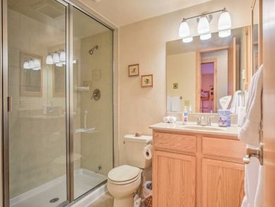 Winter Park Condo 925166