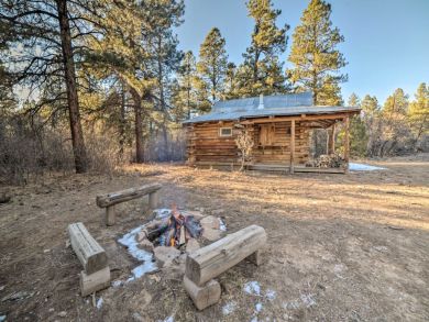 Winter Park Home 925193