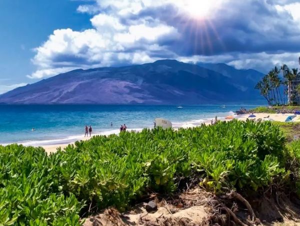Modern Wailea Vacation Condo Sleeps Two Guests Ocean Views