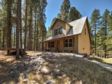 Winter Park Home 925264