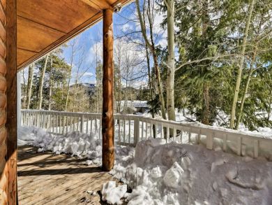 Winter Park Home 925339