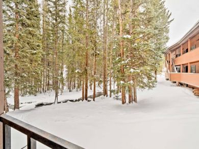 Winter Park Condo 925342
