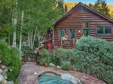 Snowmass Home 925362