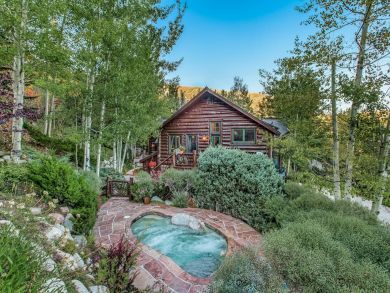 Snowmass Home 925362
