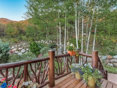 Snowmass Home 925362