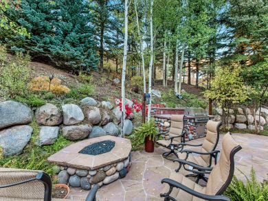 Snowmass Home 925362
