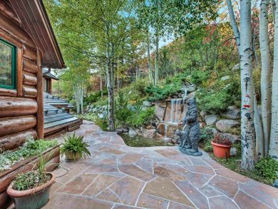 Snowmass Home 925362