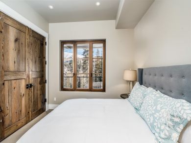 Telluride Condo 925390