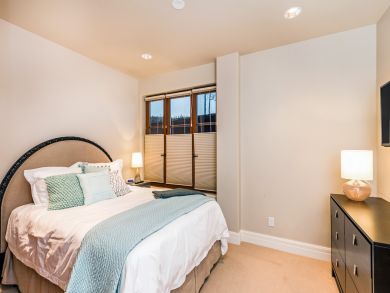 Telluride Condo 925392