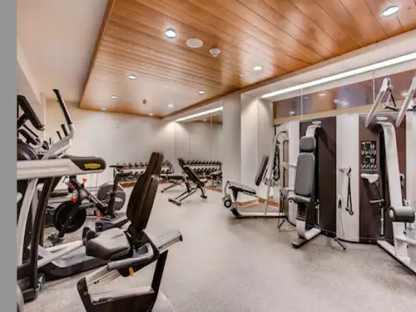 Luxury Lionshead Penthouse short walk to Gondola
