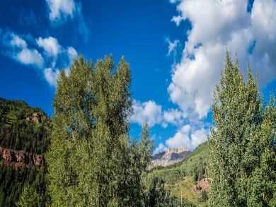 Telluride Home 925423