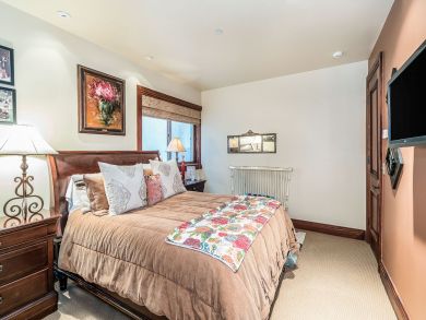 Telluride Condo 925424