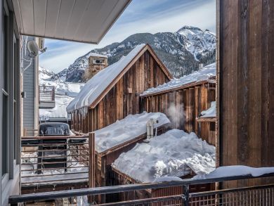 Telluride Condo 925432
