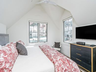 Telluride Condo 925432