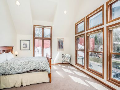Telluride Condo 925451
