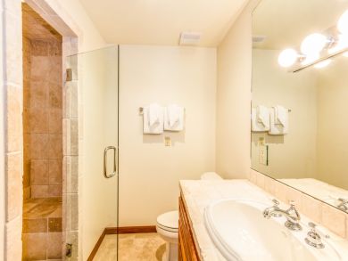 Telluride Condo 925451