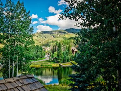 Telluride Home 925456