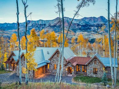 Telluride Home 925473