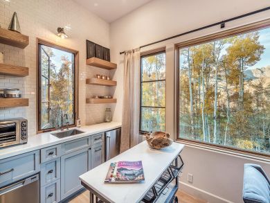 Telluride Home 925473
