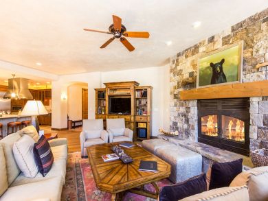 Telluride Home 925476