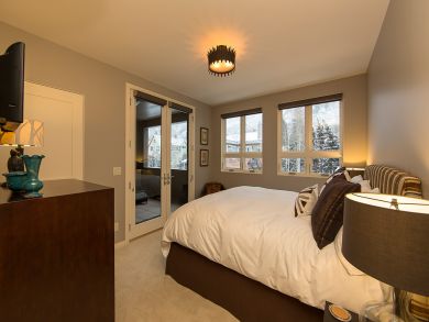 Telluride Condo 925477