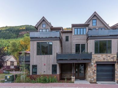 Telluride Home 925480 Telluride Home 925480