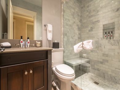 Telluride Condo 925486