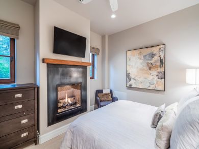 Telluride Condo 925495
